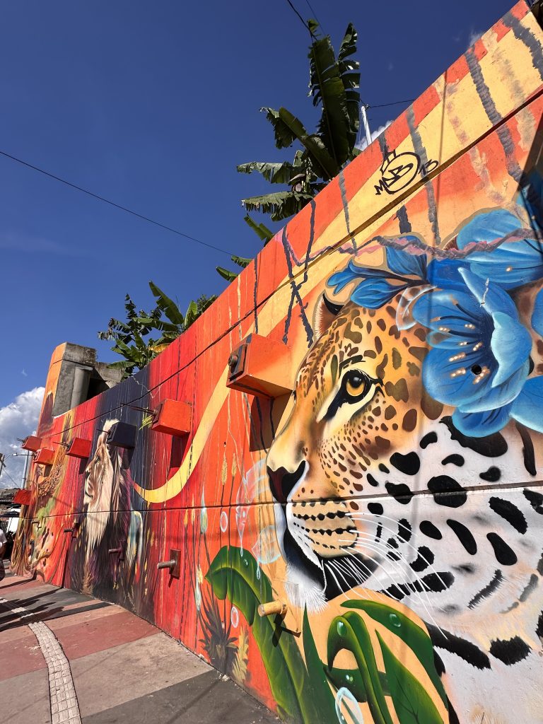 Mural colorido tigre en la Comuna 13, Medellín